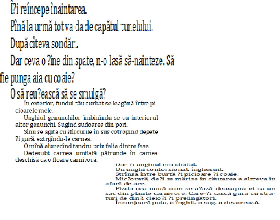 prima noapte fragment 1