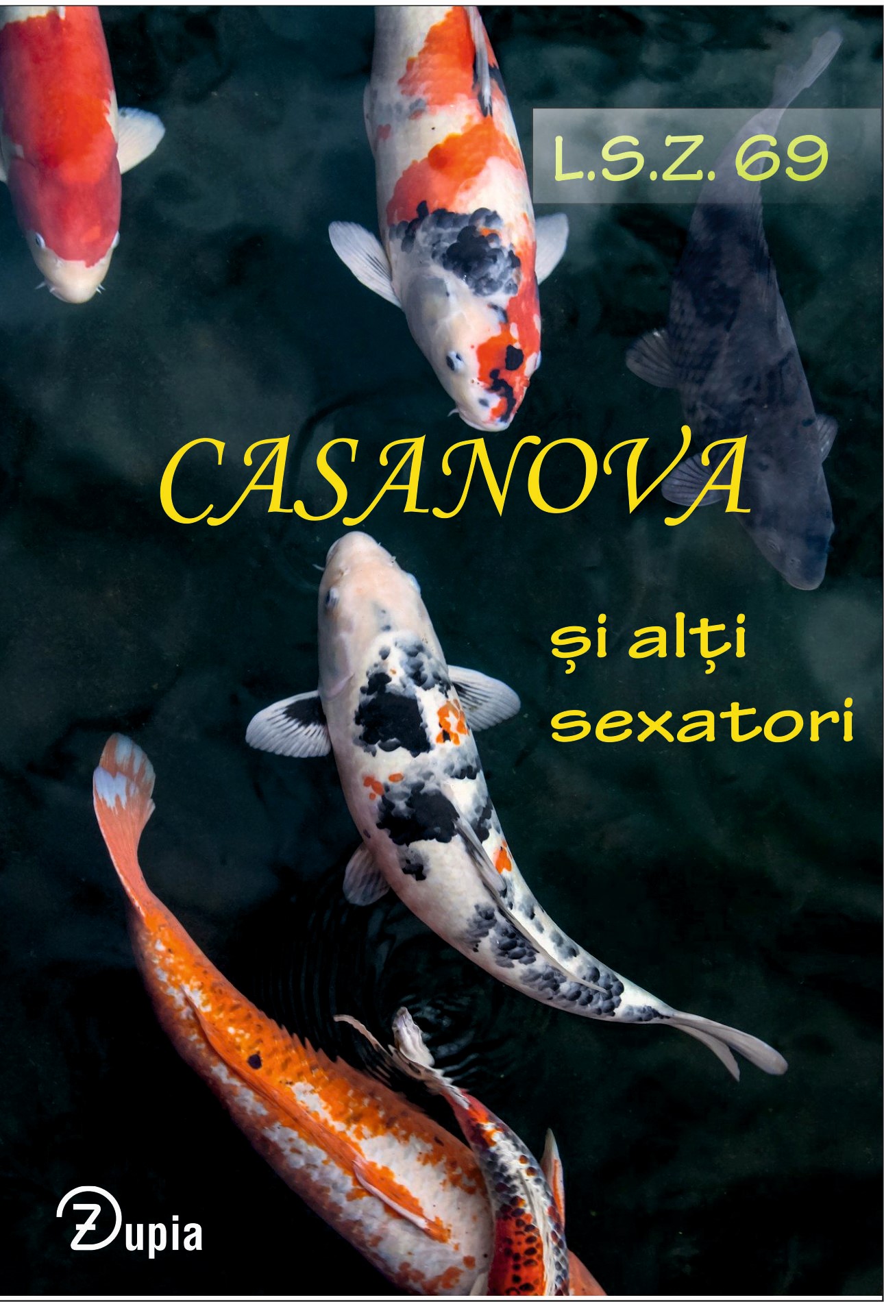 sexatorii coperta decupat