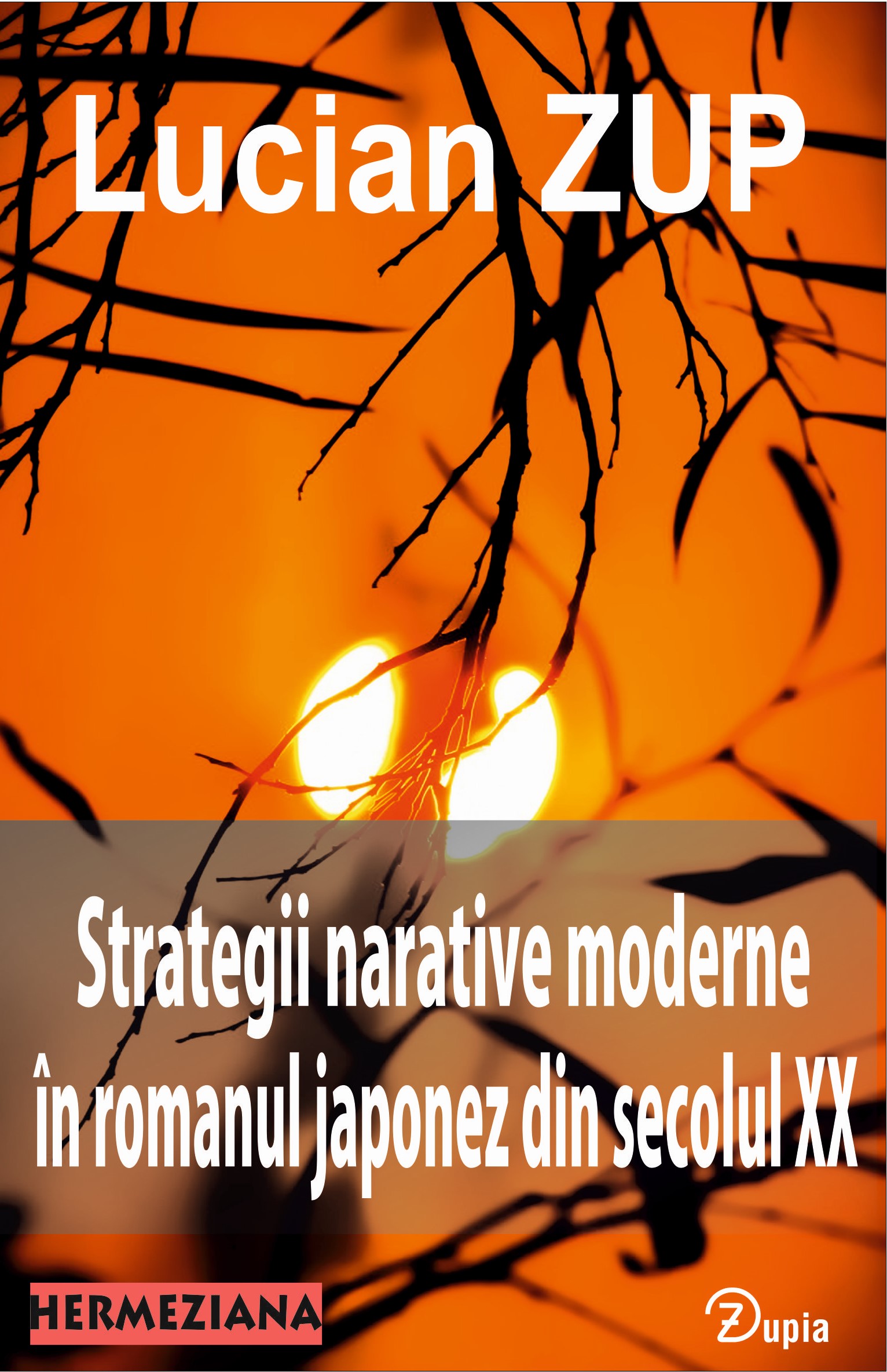 strategii coperta 1
